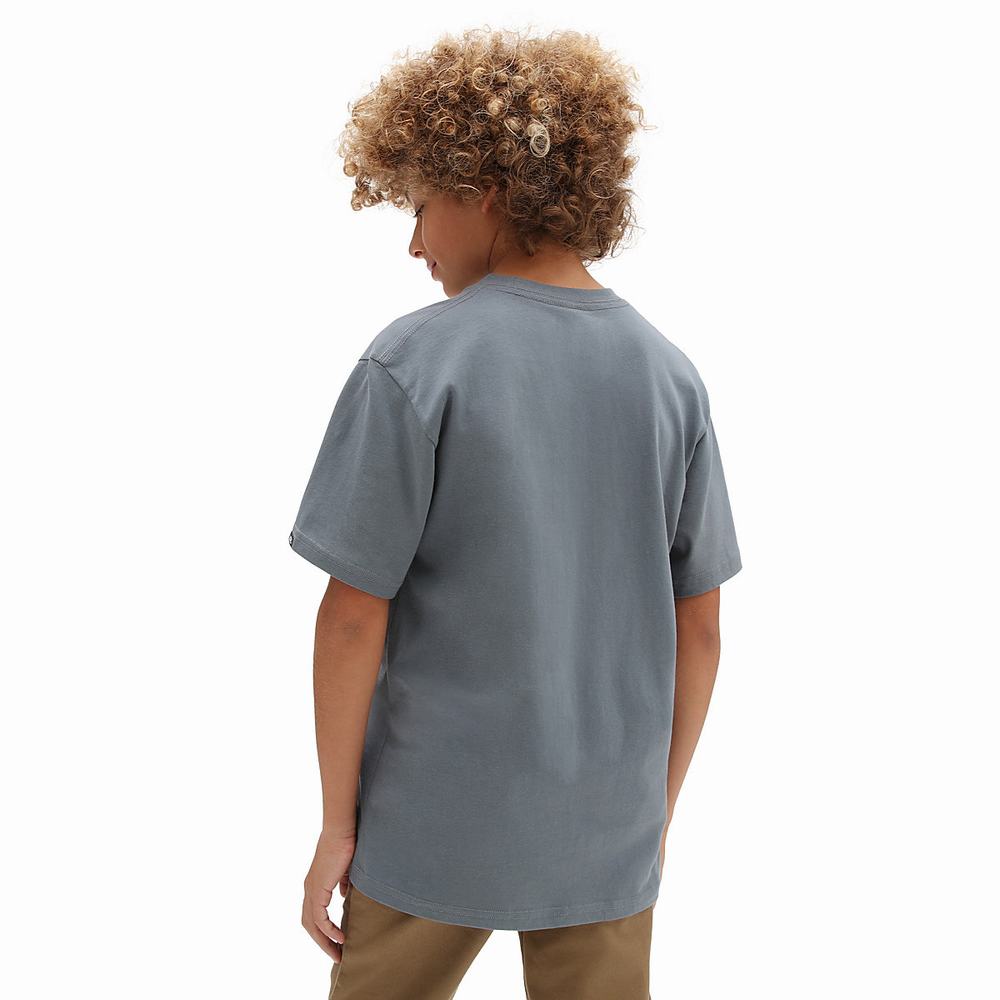 Camiseta Vans Look Out (8-14 years) Niños Gris | BAW392648