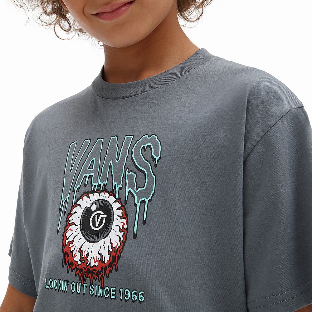 Camiseta Vans Look Out (8-14 years) Niños Gris | BAW392648