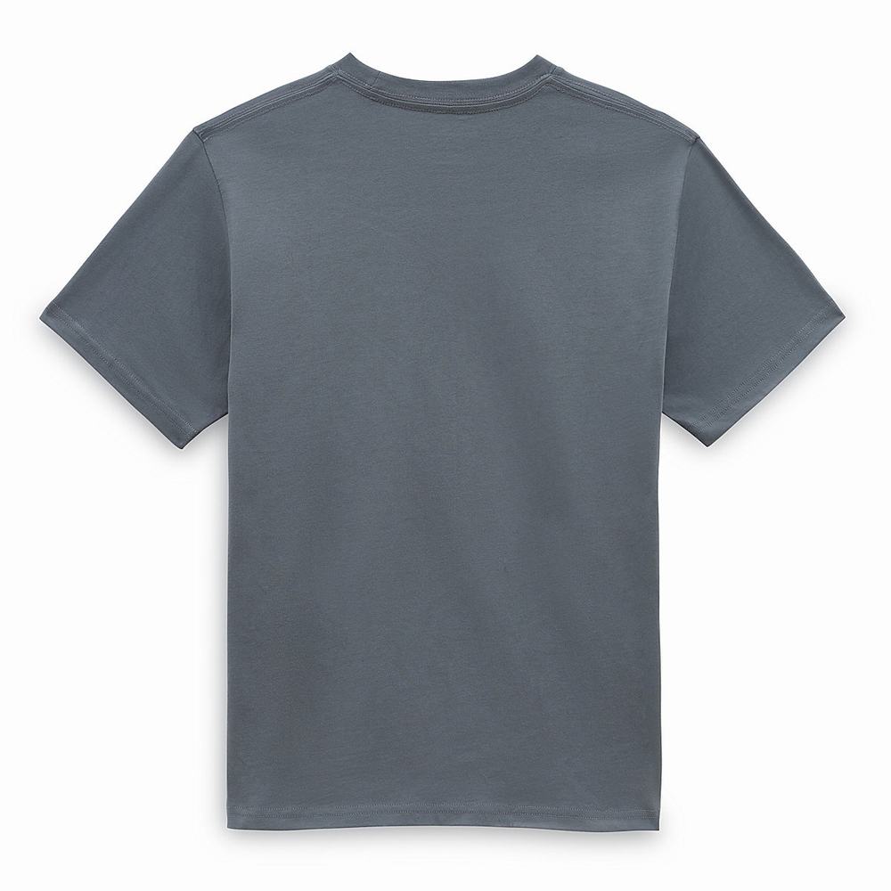 Camiseta Vans Look Out (8-14 years) Niños Gris | BAW392648