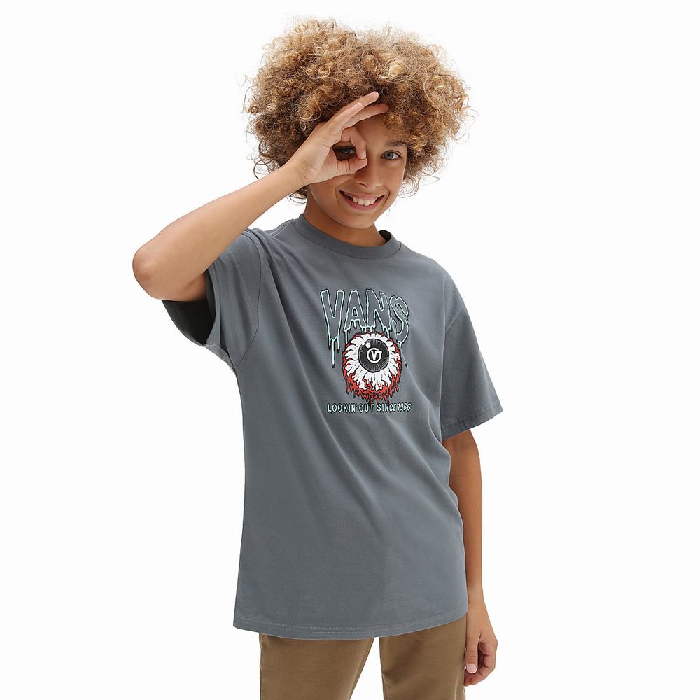 Camiseta Vans Look Out (8-14 years) Niños Gris | BAW392648