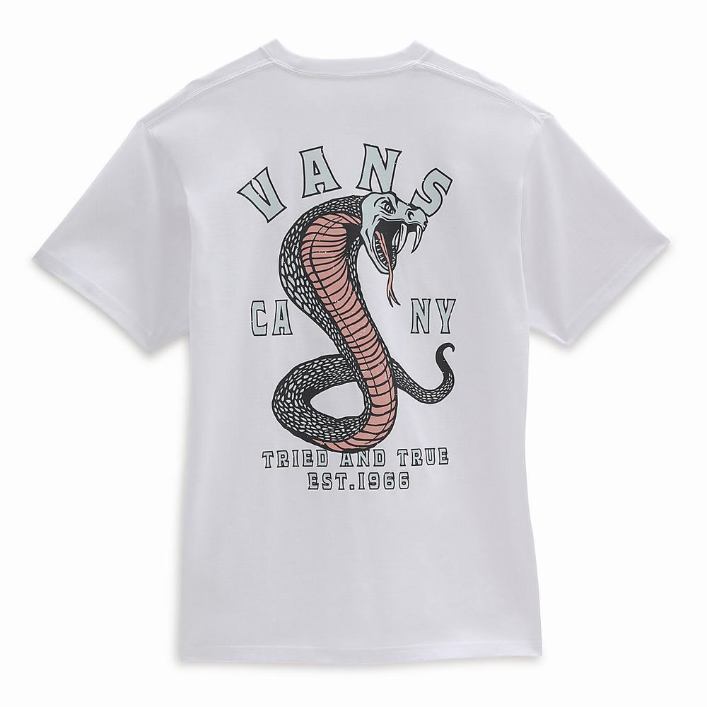 Camiseta Vans Striked Hombre Blancas | LHT241530