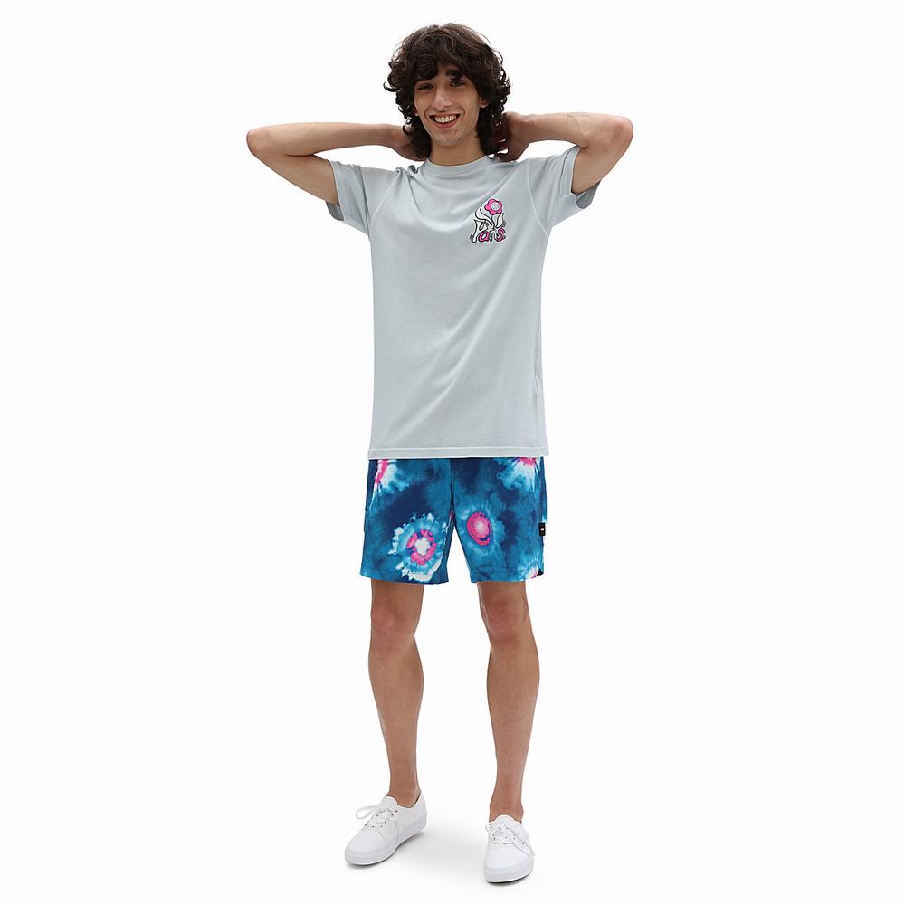 Pantalones Cortos Vans Surf Volley Hombre Azules/Multicolor | NBP592163