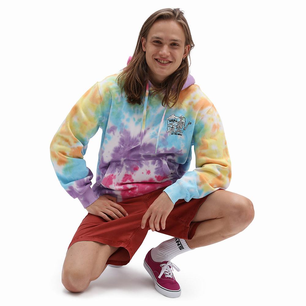 Pullover Vans Skate Classics Hombre Multicolor | TYX364185