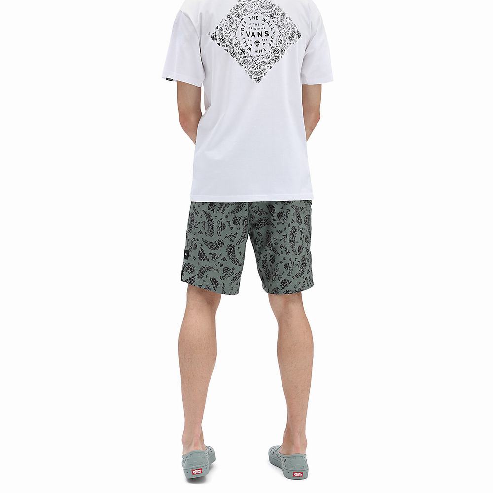 Shorts De Playa Vans Mixed II Hombre Verde | IQB578942