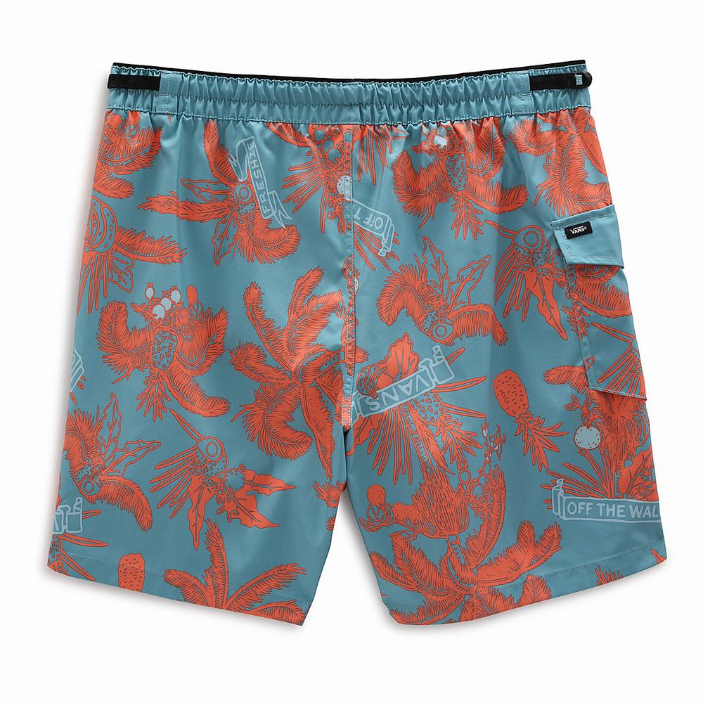 Shorts De Playa Vans Surf Volley Hombre Azules | GNY408312