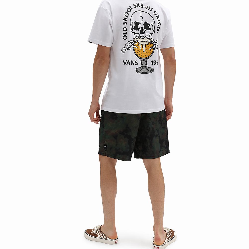 Shorts De Playa Vans Voyage Trunk 2 Hombre Multicolor | VMZ684231