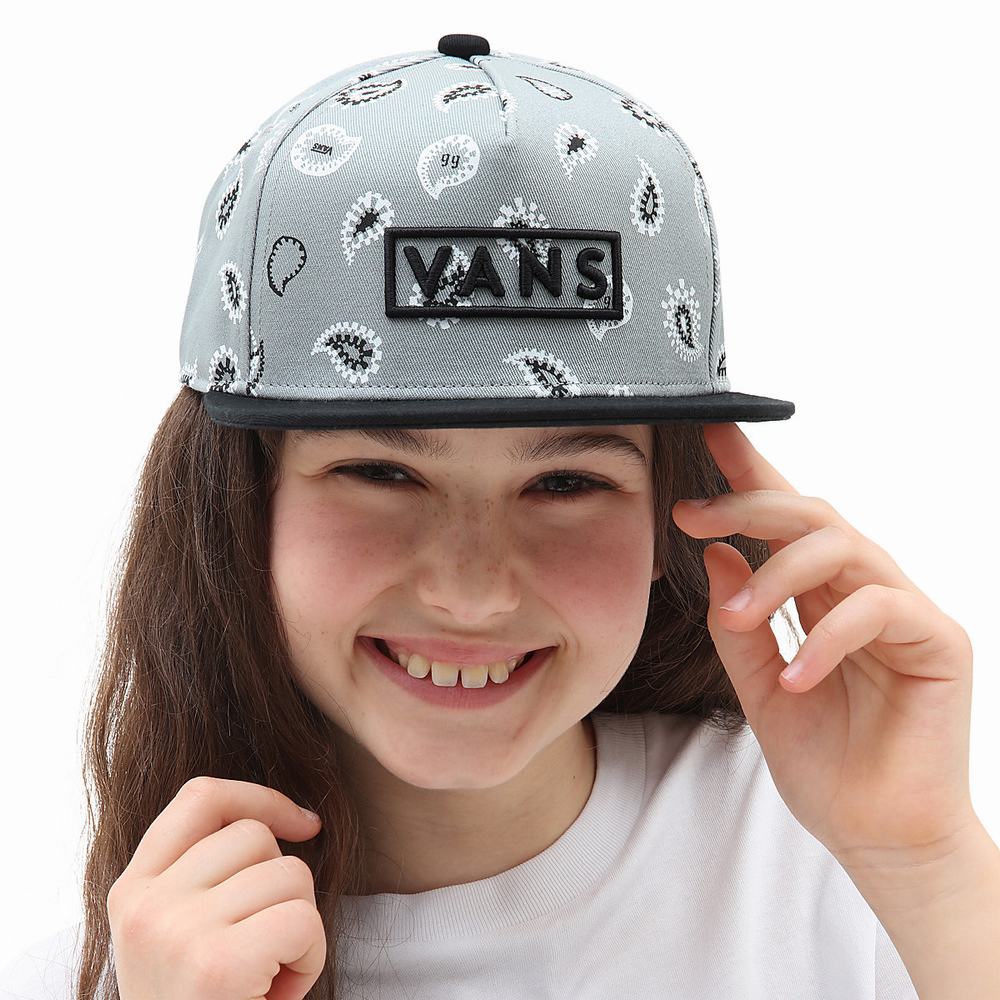 Sombreros Vans Easy Box Snapback Niños Gris | UJK259638