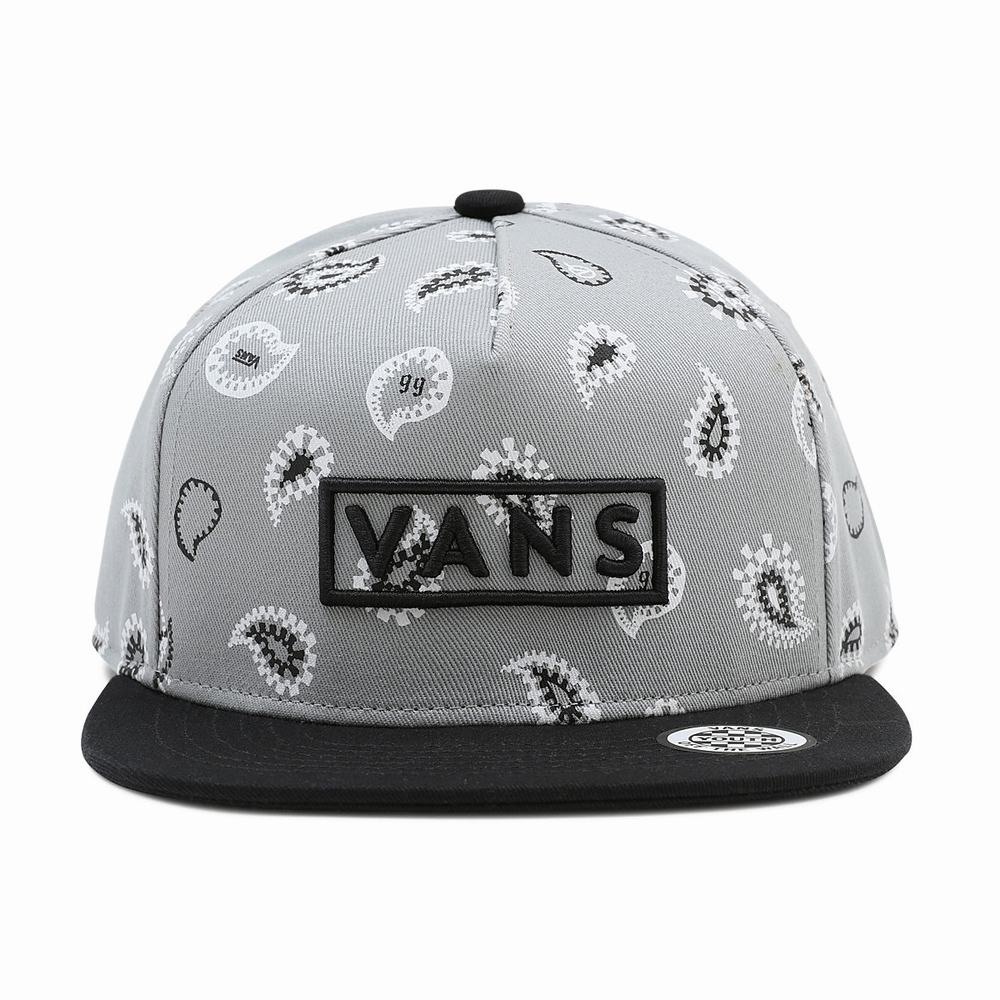 Sombreros Vans Easy Box Snapback Niños Gris | UJK259638