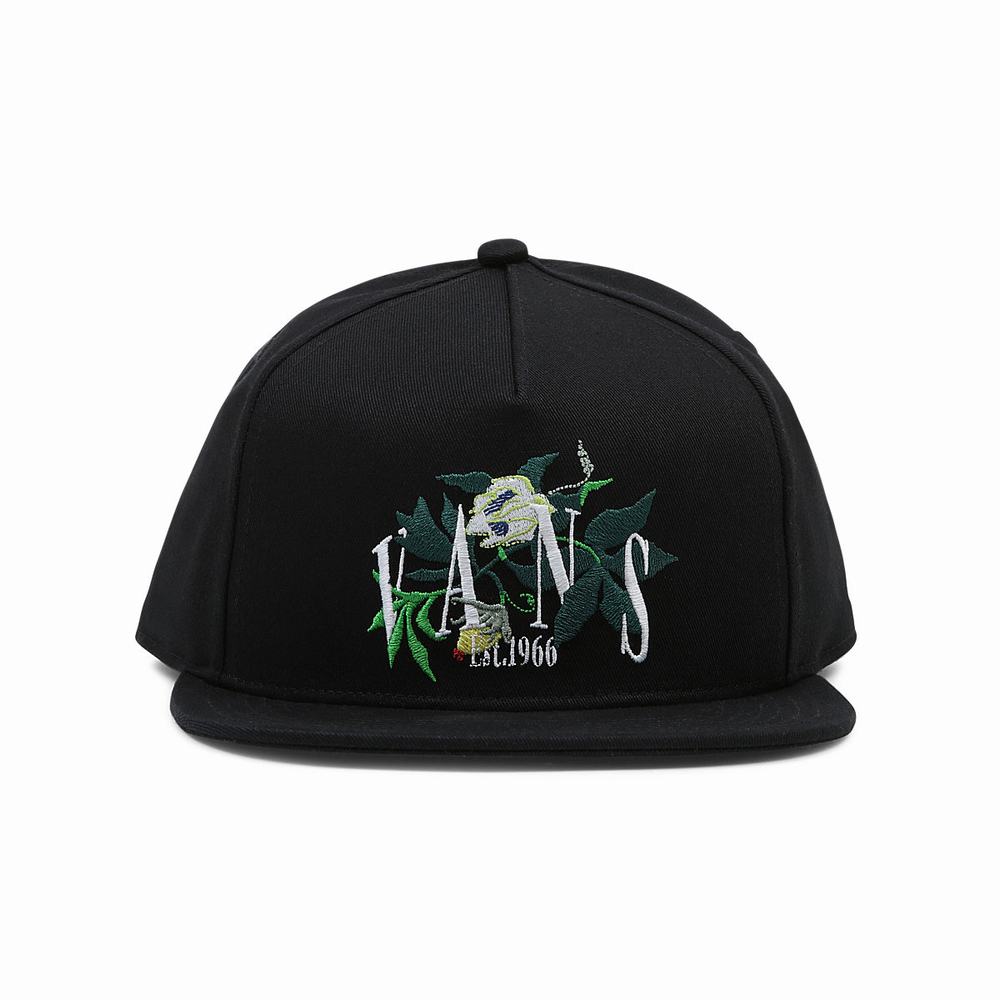 Sombreros Vans Greenhouse Snapback Hombre Negras | SUC765321