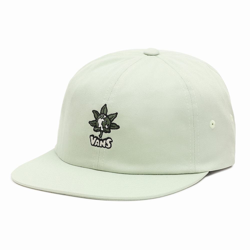 Sombreros Vans Peace Of Mind Jockey Hombre Verde | SFW321847