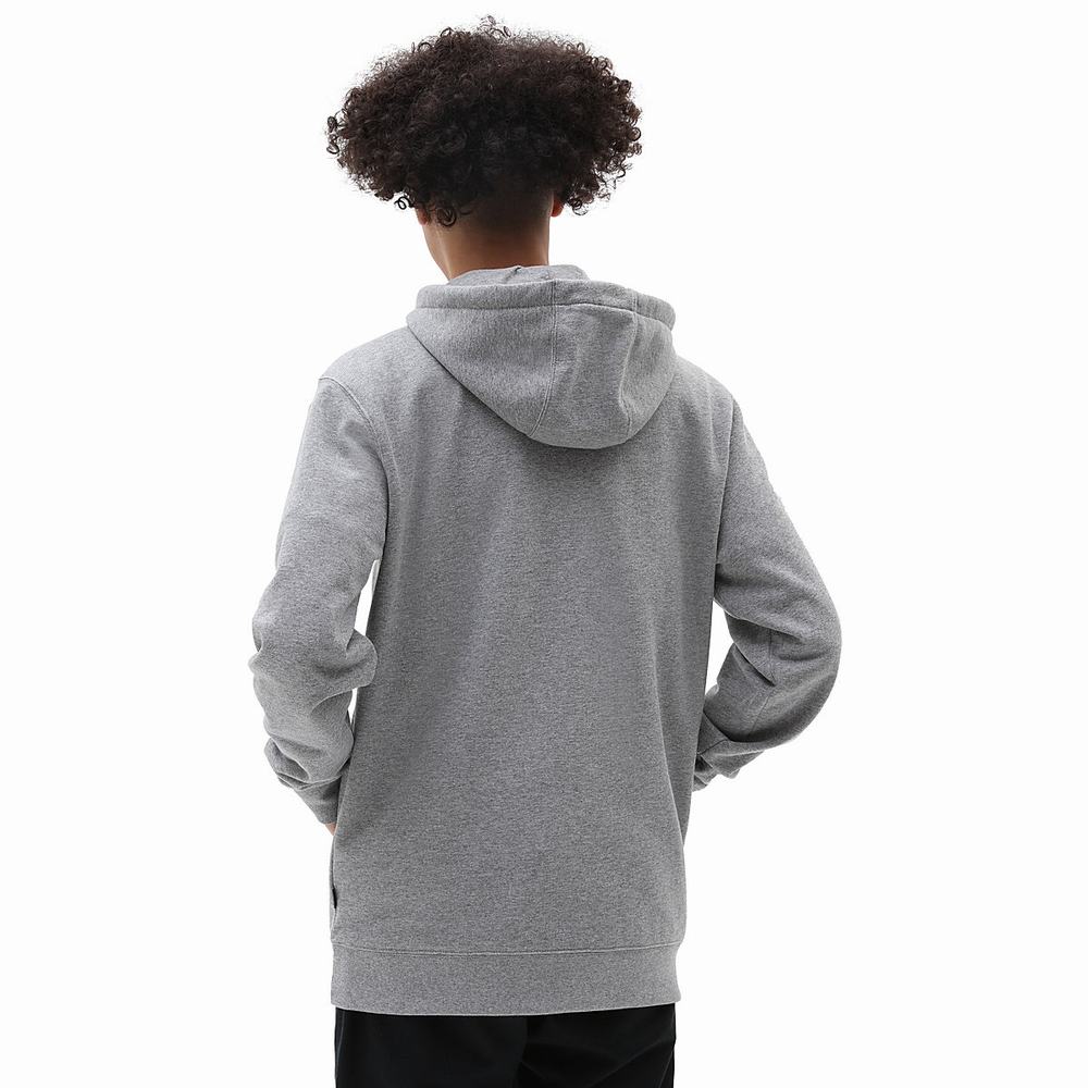 Sudadera Con Capucha Vans Skate Estampadas Hombre Gris | SEF862139