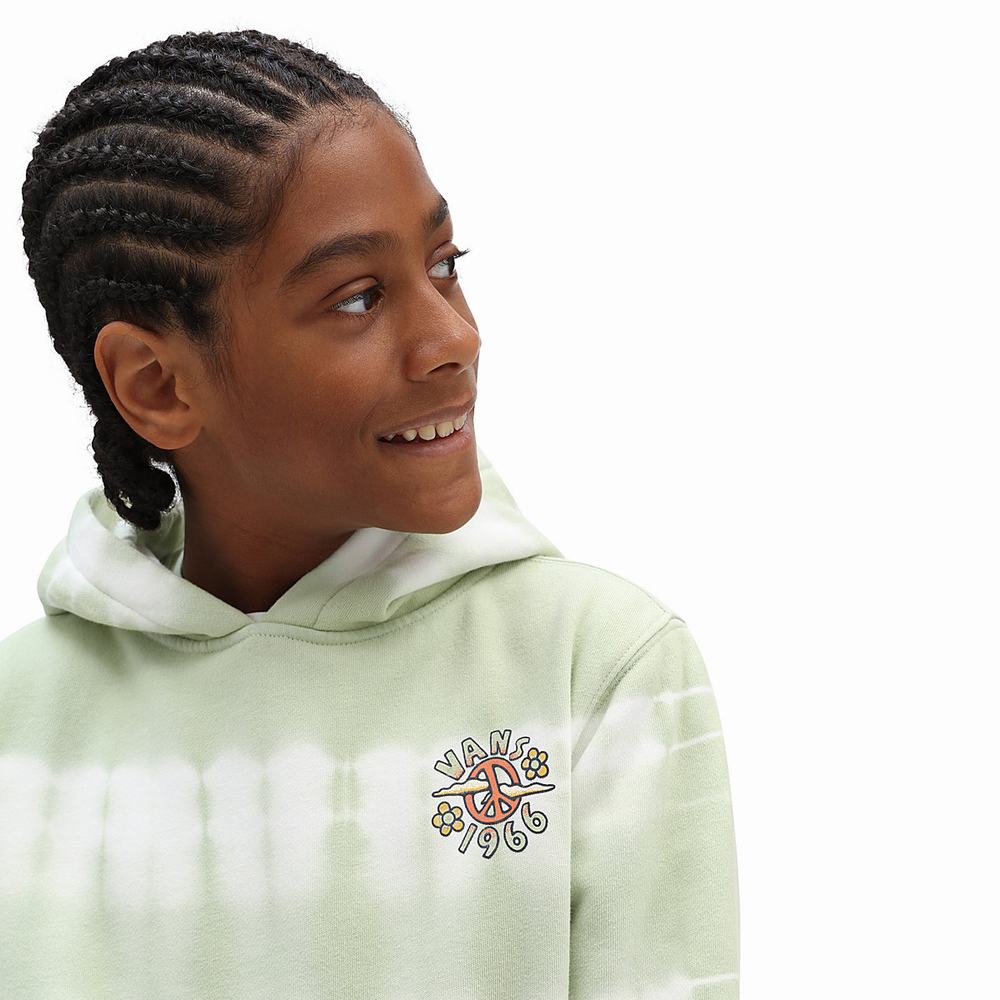 Sudaderas Vans PEACE OF MIND TIE DYE PO CELADON GREEN-TIE DYE Niños Verde | LJD518943