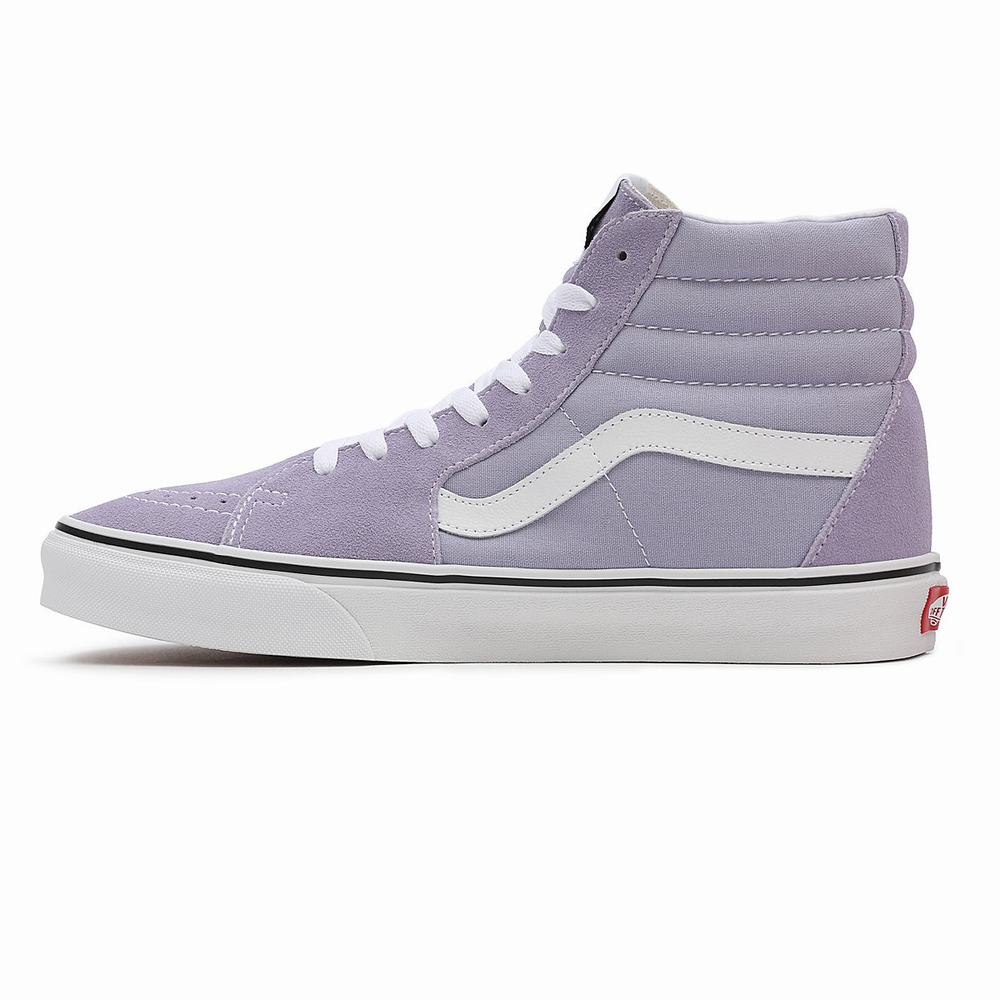 Tenis Botas Vans Sk8-Hi Hombre Moradas | WZM254016