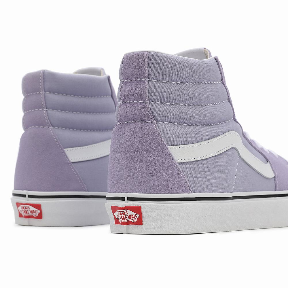 Tenis Botas Vans Sk8-Hi Hombre Moradas | WZM254016