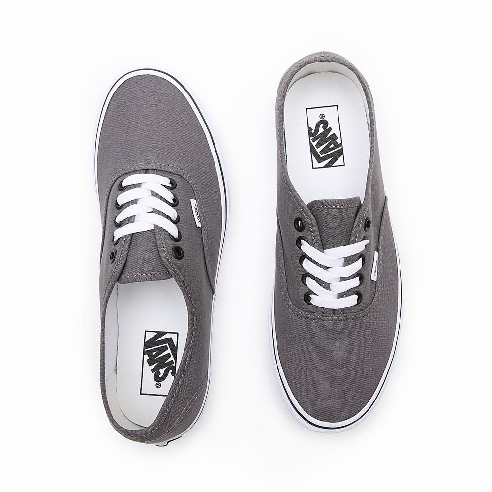 Tenis Vans Authentic Hombre Gris | QDI407156