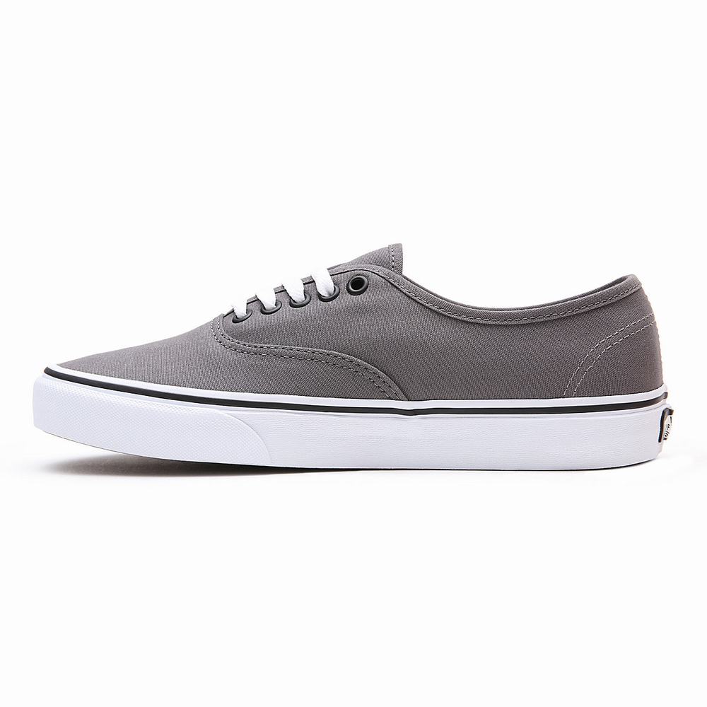 Tenis Vans Authentic Hombre Gris | QDI407156