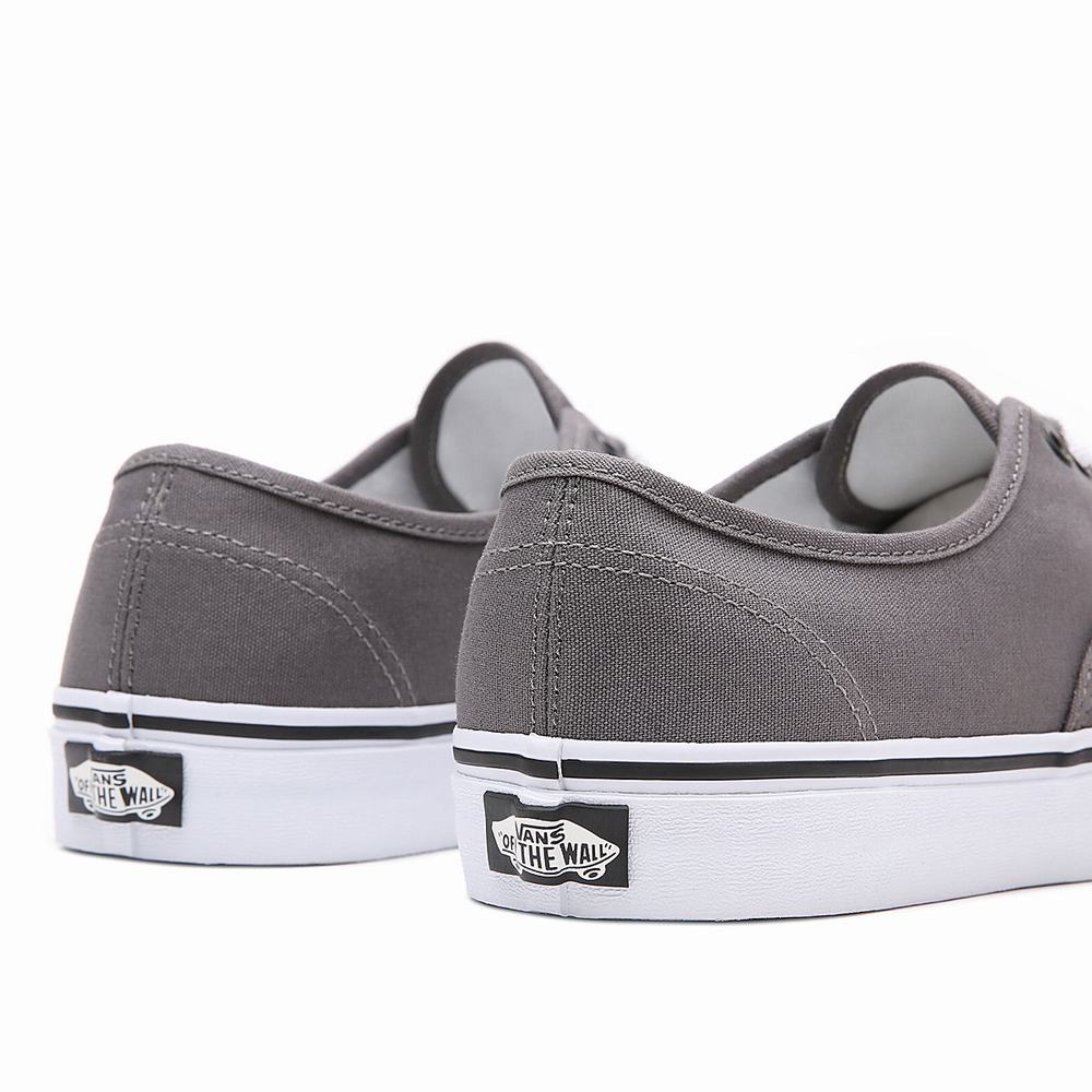 Tenis Vans Authentic Hombre Gris | QDI407156