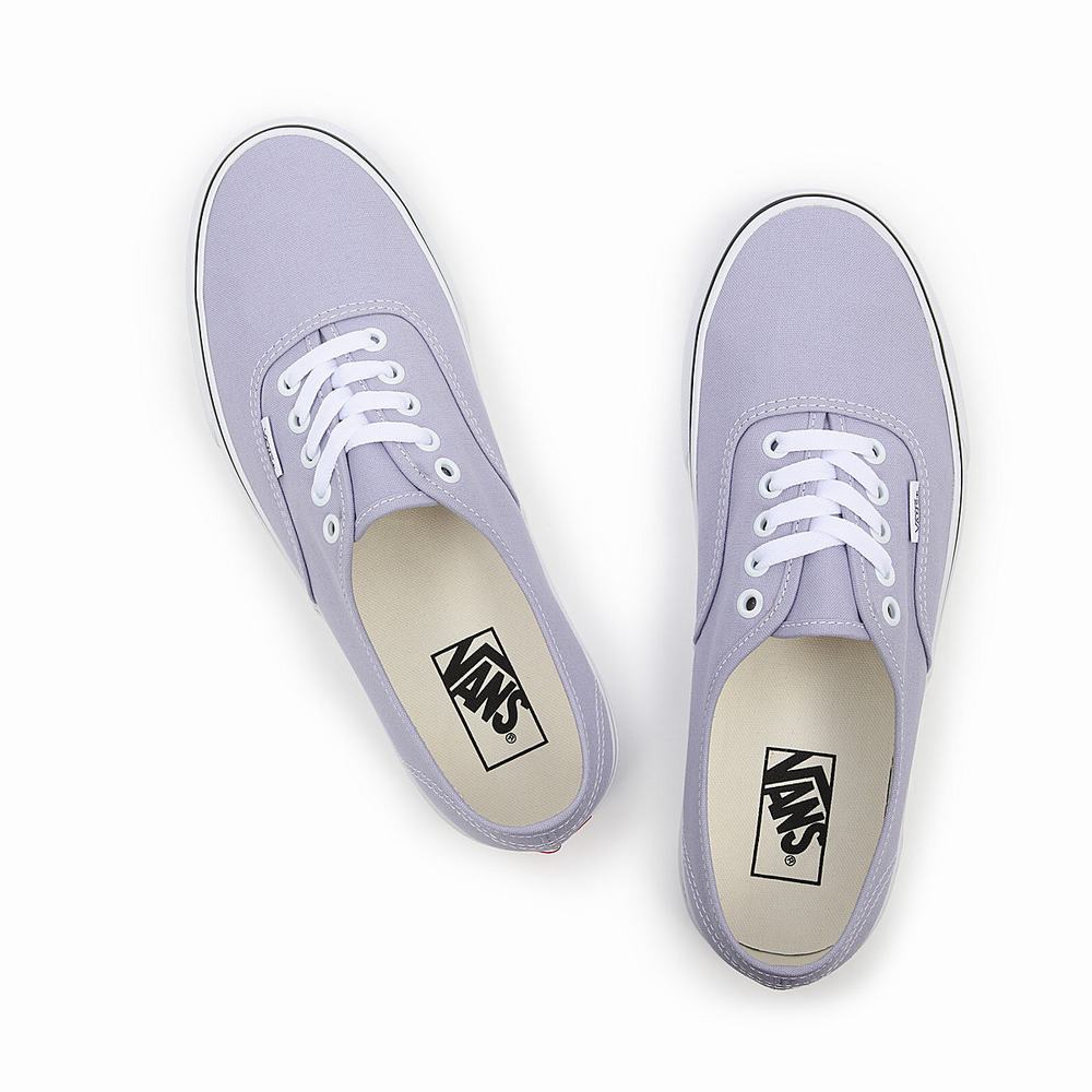 Tenis Vans Authentic Hombre Moradas | HXO328467