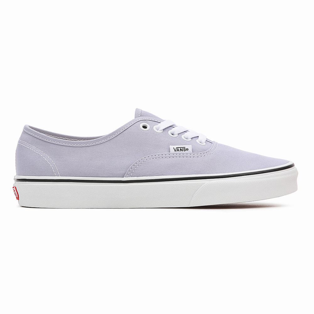 Tenis Vans Authentic Hombre Moradas | HXO328467