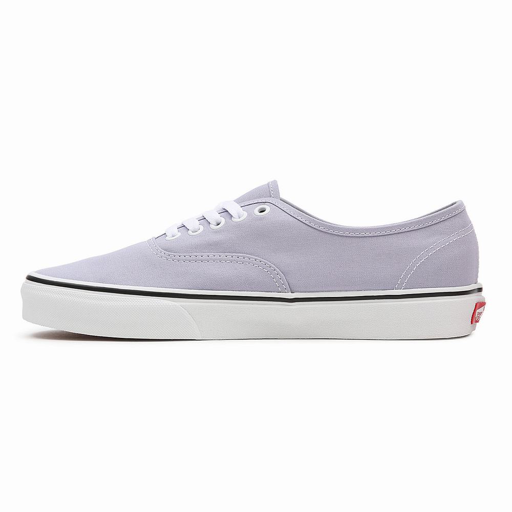 Tenis Vans Authentic Hombre Moradas | HXO328467