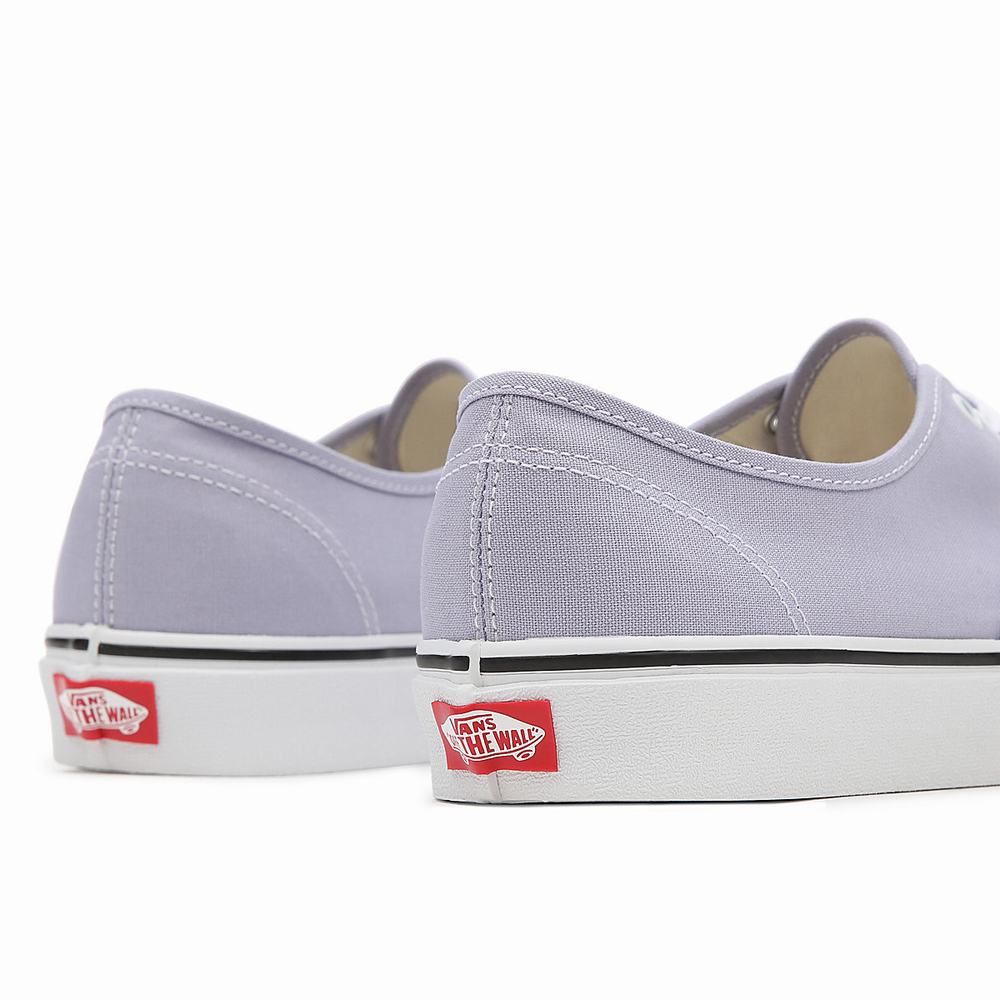 Tenis Vans Authentic Hombre Moradas | HXO328467