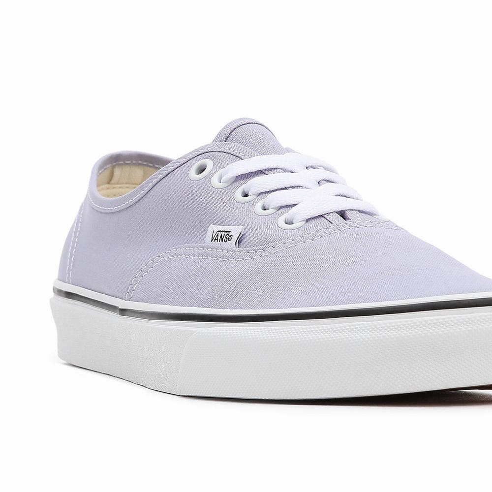 Tenis Vans Authentic Hombre Moradas | HXO328467