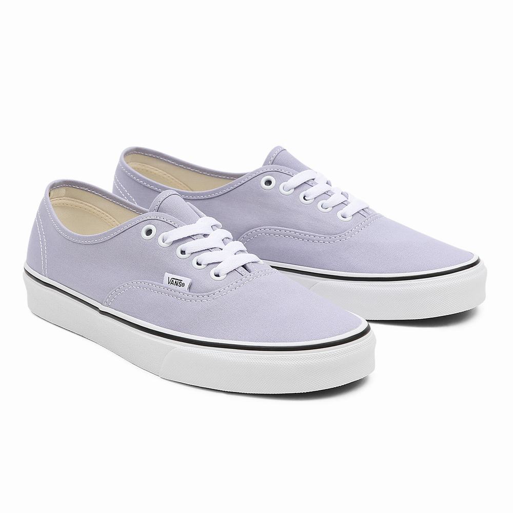 Tenis Vans Authentic Hombre Moradas | HXO328467