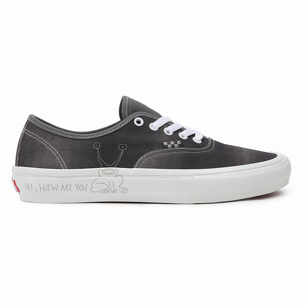 Tenis Vans Daniel Johnston Skate Authentic Hombre Gris | HER615890