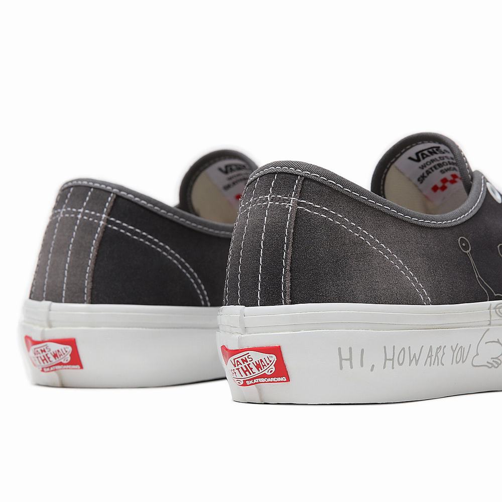 Tenis Vans Daniel Johnston Skate Authentic Hombre Gris | HER615890