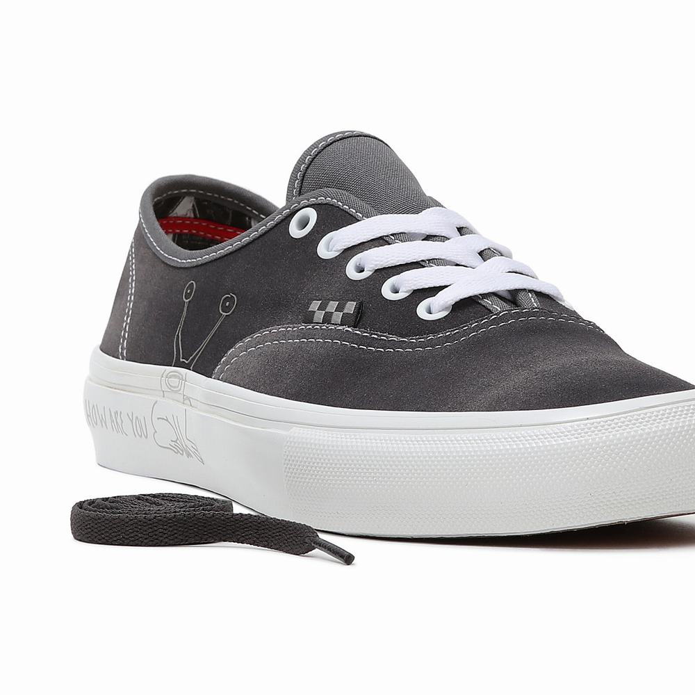 Tenis Vans Daniel Johnston Skate Authentic Hombre Gris | HER615890