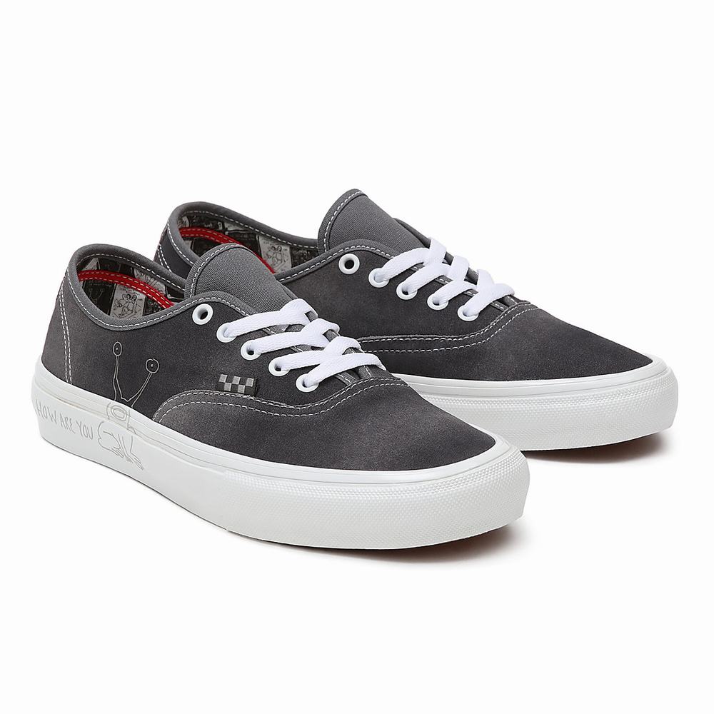 Tenis Vans Daniel Johnston Skate Authentic Mujer Gris | HFX947350