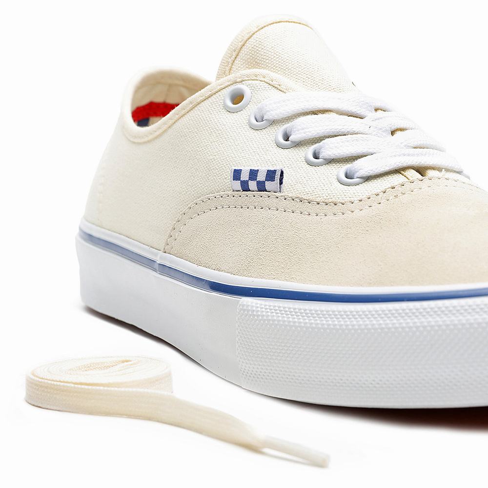 Tenis Vans Skate Authentic Hombre Blancas | YZG264897