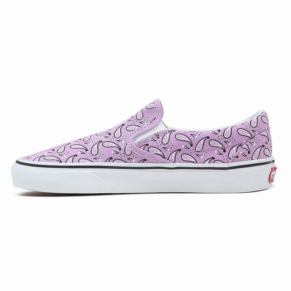 Zapatos Slip On Vans Classic Hombre Rosas | NPZ697015