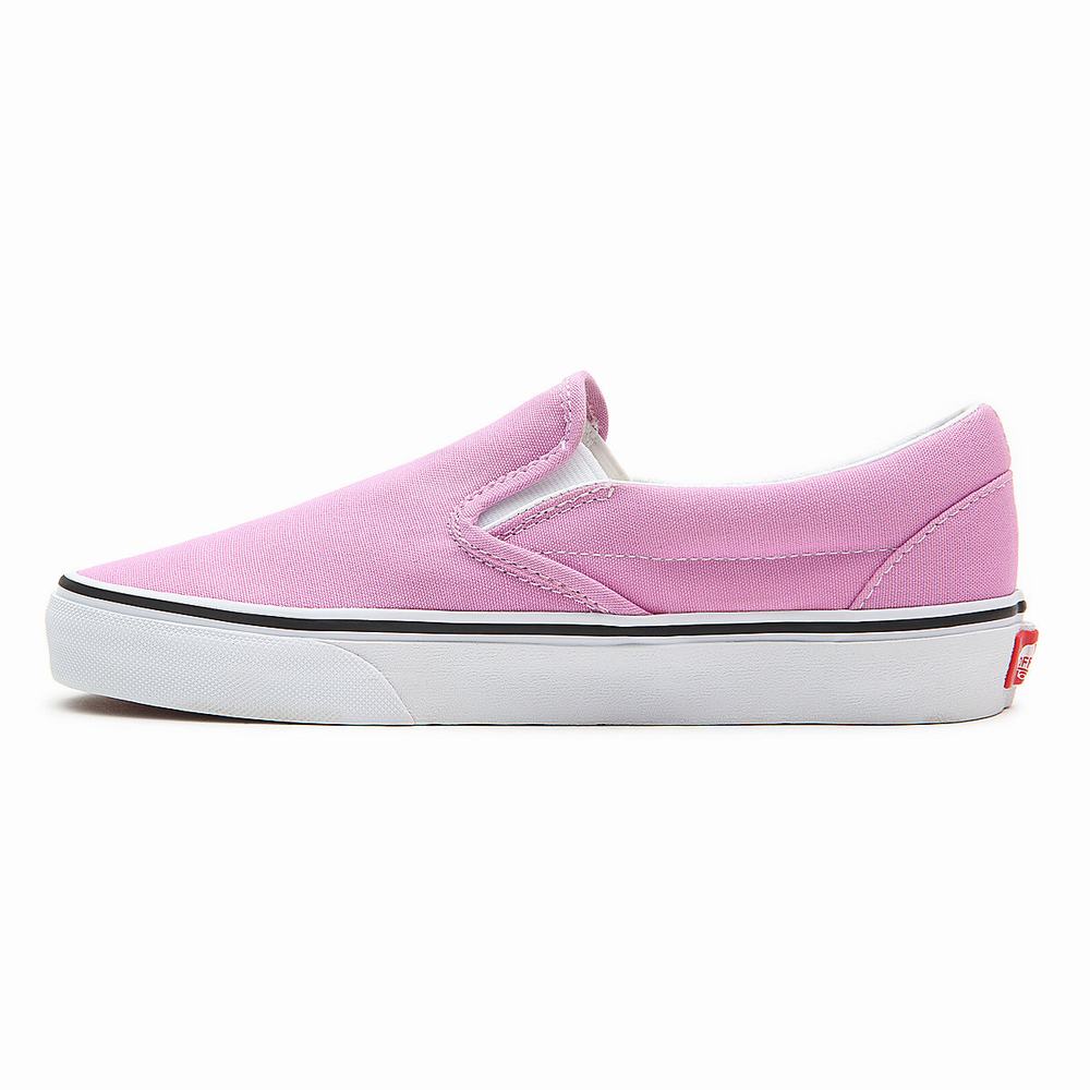 Zapatos Slip On Vans Classic Mujer Rosas | FLG312709