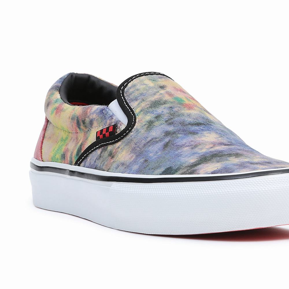 Zapatos Slip On Vans Skate Mujer Multicolor | MDQ192537