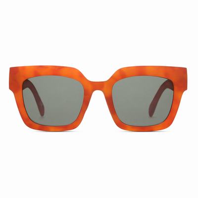 Gafas de Sol Vans Belden Shades Hombre Marrones | MTE970268