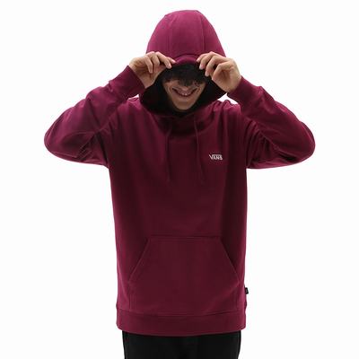 Sudadera Con Capucha Vans Core Basic Hombre Moradas | FTL726149